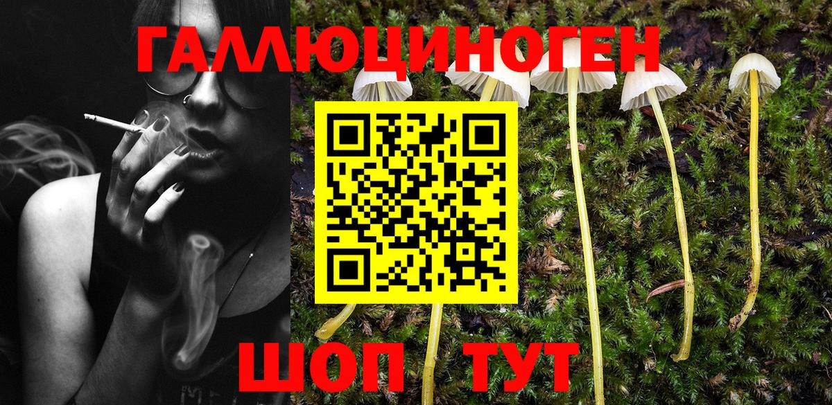 Бор  наркота  Вход с VPN  Галлюциногенные грибы Psilocybine cubensis 